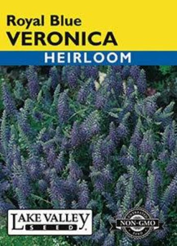 Veronica Royal Blue