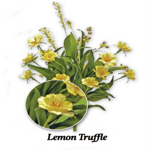 GF FS109 Small Lemon Truffle Bouquet