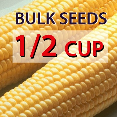 Bulk Seed 1/2 cup Corn