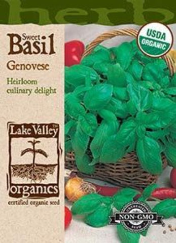 Organic Basil Sweet Genovese Heirloom