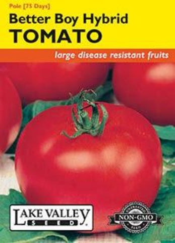 Tomato (Pole) Better Boy Hybrid