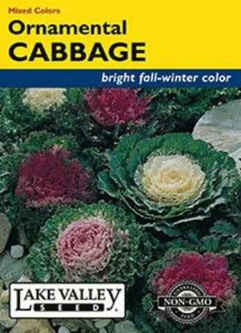 Cabbage Ornamental Mixed Colors
