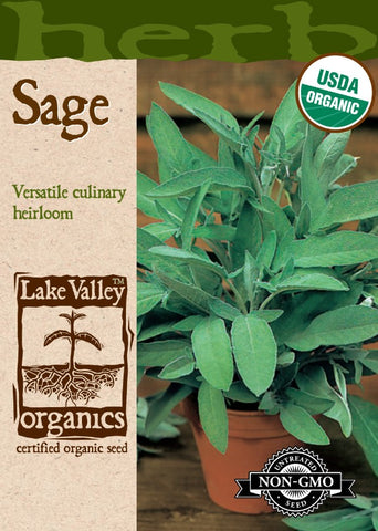 Organic Sage Broadleaf Heirloom