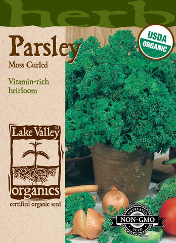 Organic PARSLEY MOSS CURLED Heirloom