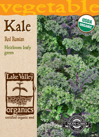 Organic Kale Red Russian Heirloom