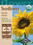 Organic Sunflower Mammoth GrayStripe Heirloom