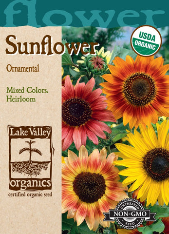 organic sunflower seeds for planting Organic Sunflower Ornamental Dwarf Mixed Colors – Prairie Blossom Nursery
