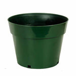 4" inch Green Vegetable Pot
