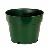 4" inch Green Vegetable Pot