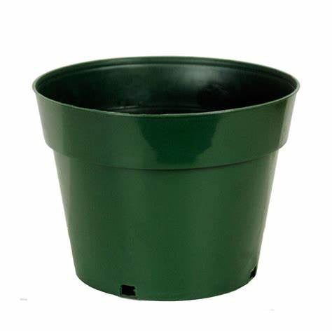 3.5 inch Green Vegetable Pot/ eco fiber pot