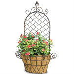 Deer Park Ironworks Finial X Wall Basket with coco liner