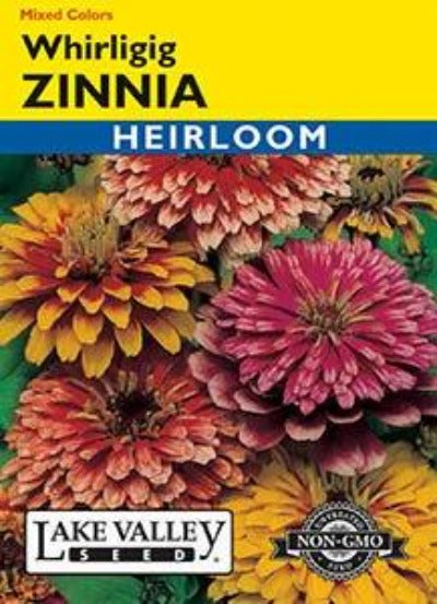 Zinnia Whirligig Mixed Colors Heirloom – Prairie Blossom Nursery