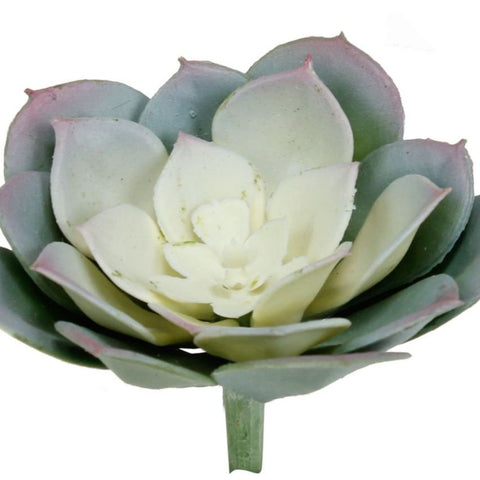 hiawatha succulent Artificial_ Small Red Haworthia Succulent