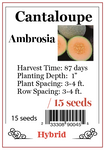 PBN Cantaloupe Ambrosia /15 seeds