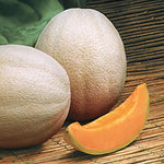 Cantaloupe Melon Aphrodite BS