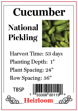 PBN Cucumber National Pickling