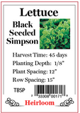 PBN Lettuce 'Black Seeded Simpson'