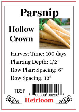 PBN Parsnip Hollow Crown
