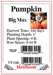 PBN Pumpkin 'Big Max'