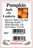 PBN Pumpkin 'Jack-o-Lantern'