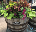 Whiskey Barrel with plants