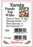 PBN Turnip 'Purple Top White Globe '