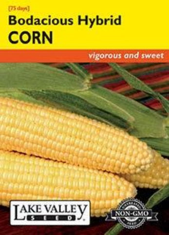 Corn Sweet Bodacious Hybrid