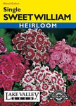 Sweet William Single Mixed Colors