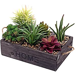 faux succulent box Artificial_ Succulent Frosty – Prairie Blossom Nursery