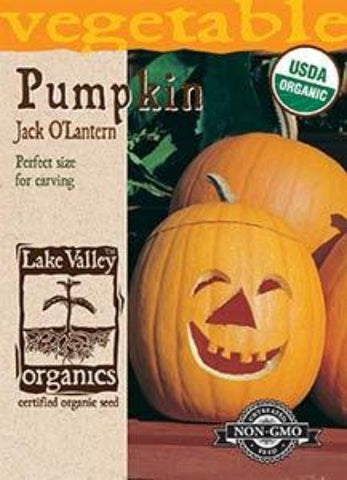 Organic Pumpkin Jack O’Lantern