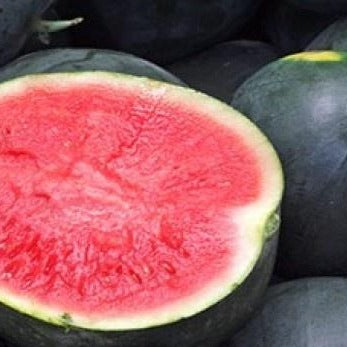 PBN Watermelon 'Black Diamond'