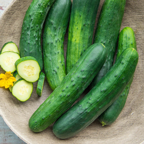 Farmer's Market Cucumbers / Price per each