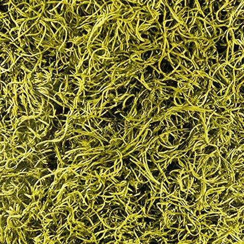 Super Moss Spanish Moss Preserved Chartreus 2.5 oz