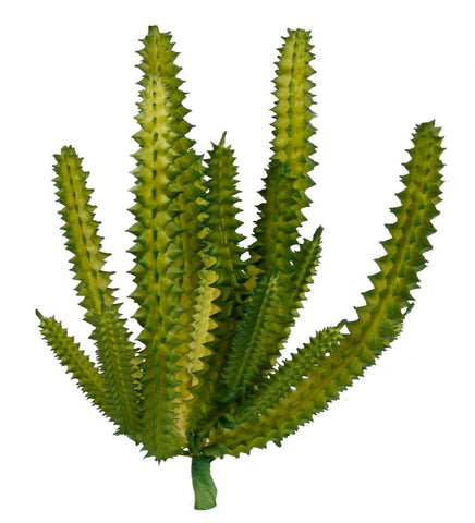 Artificial_ Succulent Euphorbia - HZ58
