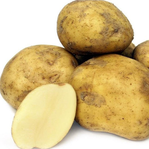 Kennebec Potato per lb