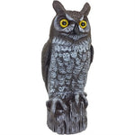 Dalen Molded Owl