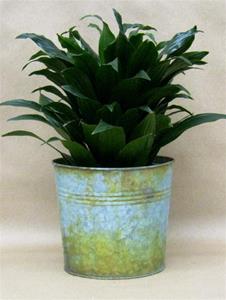 Metal Round Planter Lined 6x7"